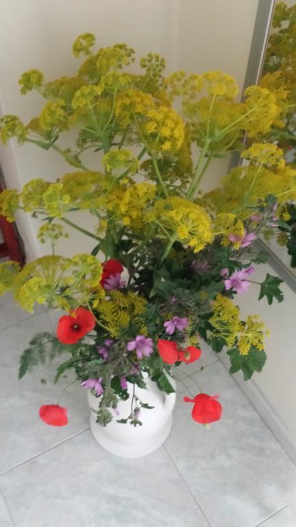 Porta Matera B&B Altamura Εξωτερικό φωτογραφία
